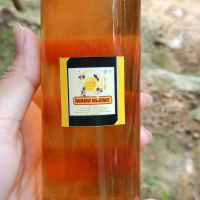 Madu Asli Tasikmalaya - Madu Alami dari Lebah Liar untuk Pengobatan Alami dan Konsumsi Sehari-hari