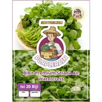 Bibit Premium Selada Air WaterCress | Benih Selada Air True Water