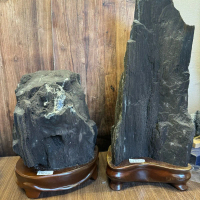 Pajangan Guardian Petrified wood BT Ornamen Rumah Kayu