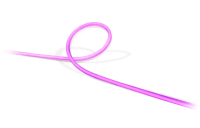 Philips Hue 彩色戶外智能燈帶 (2米)