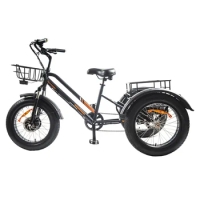 LA warehouse 48v750w electric tricycle with 48v 18.2ah battery adult electric cargo tricycle fat tire eike electric in stock