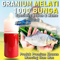 Essen Ikan Mas Babon Rame Aroma Granium Melati Seribu Bunga By Raja Podium Paling Gacor Segala Umpan