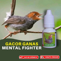 Doping Vitamin Prenjak Kepala Merah