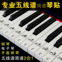 鋼琴鍵盤貼紙88鍵61電子琴手卷琴鍵五線譜簡譜按鍵音符音標數字貼