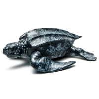 【collectA】海洋生物-稜皮龜(886800)