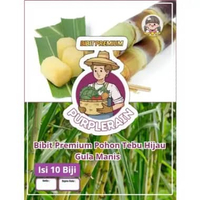 Bibit Premium Tebu Hijau Manis |Biji Bibit Pohon Tebu Hijau Manis | Biji Benih Tebu Hijau Manis