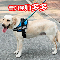 狗狗牽引繩背心式遛狗大型犬k9胸背帶金毛狗項圈大狗中型