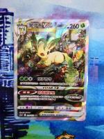【CardMaster】寶可夢紙牌 PTCG 天地萬物 葉伊布VSTAR_S12a_ SAR_210/172