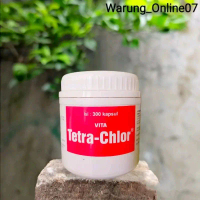 Tetra Chlor isi 300 Kapsul Untuk Ayam Sakit Korisa Kolera Pullorum CDR Snot Pilek