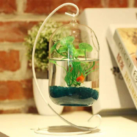 O.RoseLif Big Size Glass Vase Home Decor Aquarium Suitable Fish Tank Wax Gourd Glass Bottle + Iron Holder Set Flower Ball Vase