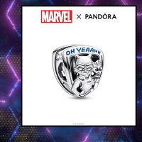 【Pandora官方直營】Marvel《星際異攻隊》火箭浣熊與格魯特徽章造型串飾-絕版品