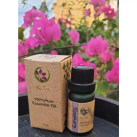 โรสแมรี่ น้ำมันหอมระเหยแท้ 100% ( Rosemary Essential Oil,100%Natural)