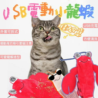 『台灣x現貨秒出』USB瘋狂小龍蝦電動貓咪玩具 寵物玩具 逗貓玩具 自嗨玩具