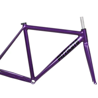 PIZZ T1 Fixed Gear Bicycle Frameset, Purple