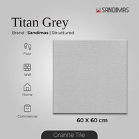 Granit Tiles Titan Grey ST 60x60 Sandimas