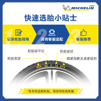 Michelin Tire 21555ZR17 (98Y) Racing 5 PS5 Compatible with Lexus ES Passat Odyssey