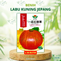 ± 30 BUTIR BENIH IMPORT LABU JEPANG KABOCHA ORANGE / KUNING KEMASAN PABRIK
