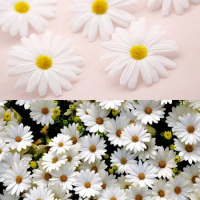 10pcs/bag 6CM Artificial Silk White Daisy Flower Wedding / Party DIY House Decoration Accessories Cheap Wall Decoration Flowers