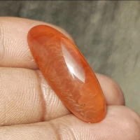 ASLI NATURAL BATU PANDAN NANAS SISIK BAGUS MULUS