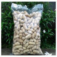Kacang Kulit Oven asin 1kg