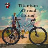 TWITTER WERNER XT/M8000-22S Lightweight Titanium MTB Frame 27.5" MTB Disc Brake mountain bike 29 bicycles bicicleta de montaña