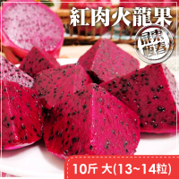 【家購網嚴選】屏東紅肉火龍果 10斤x1盒(13-14顆/盒-大)
