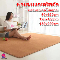 [เก็บเงินปลายทาง] Room Floor Rugs, Room Rugs, Room Decorating Rugs, Minimalist Room Decorating Rugs 