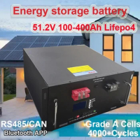 48V 100ah 120ah 150ah 200ah 300ah 400 ah Lifepo4 51.2V 4000 Cycles CAN RS485 Battery for Solar System Photovoltaic Inverter