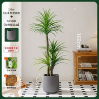 掬涵北歐輕奢模擬綠植龍血樹大型落地盆栽高階假植物客廳裝飾擺件