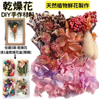 【A-ONE】永生花素材永生滿天星 大滿天星 婚禮佈置 手作素材 攝影道具 新娘捧花 乾燥花束 手作乾燥花 B08 鬥色