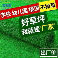 開發票 草坪 人工草坪 假草坪 仿草坪  仿真草坪地毯人造草皮屋頂鋪墊幼兒園戶外樓頂陽臺裝飾隔熱假草坪 免運 現貨 特價出sysy