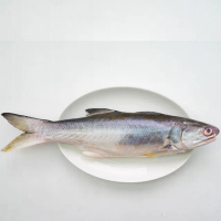 【天和鮮物】台灣鹹水午仔魚12包(300g/包)