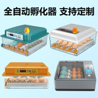 🔥可開統編✅孵化器 110V 全自動 小雞孵化機 智能恒溫 孵蛋器 恒溫孵化箱 鴨鵝孵蛋機