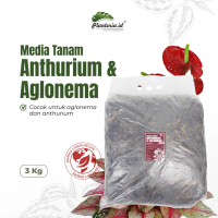 Media tanam Aglonema 3 kg sesuai habitat asli dengan tambahan nutrisi Tanaman Tanah