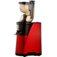 Big Mouth Juice Extraction Electric Slow Juicer