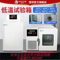 {臺灣公司貨 可打統編}楚悅DW-40度-60低溫試驗箱高低溫實驗室冰箱保存箱工業冰柜冷凍箱