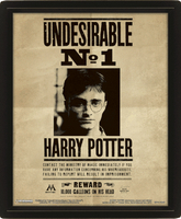 【哈利波特】波特/天狼星通緝令 – 3D海報含框 Harry Potter / Sirius