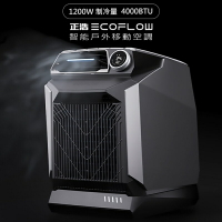 EcoFlow Wave 正浩 戶外移動空調EFH200【App 4%回饋】