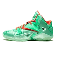 LEBRON 11 CHRISTMAS 2013