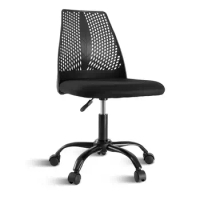 Task Ergonomic Mesh Cod Arms and Lumbar Support Adjustable Height Study Chair for Students Teens Men Women for Dorm Home Office