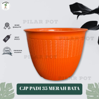 POT BUNGA TANAMAN PADI 35 CITRA JAYA PLASTIK WARNA ELEGAN BAHAN TEBAL - CJP 9935 PADI MERAH BATA
