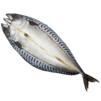 【海鮮主義】極鮮鯖魚一夜干(3包組;330g/包)