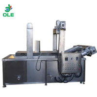 Industrial Continuous Frying Machine Electric Gas Snacks Fryer Machine