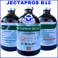 JECTAPROS B12 100ml vitamin b12 Memulihkan stamina dan Menambah Nafsu Makan Sapi domba Kambing vadco