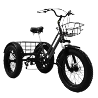 48V 750W Powerful Electric Bicycle For Adults 20 Inch 3 Wheel Fatbike Electric Bike For Old People Men With Big Basket