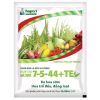 NPK 7-5-44 Hợp Trí Gói 250g RA HOA SỚM HOA TRỔ ĐỀU, ĐỒNG LOẠT, CHẶN ĐỌT, GIÀ LÁ