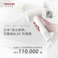 【TESCOM】專業羽量級負離子BLDC吹風機 TD760TW