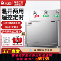 【台灣公司 可打統編】志高直飲機商用開水器工廠車間燒水機全自動大型商業飲水機大容量