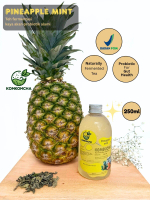 KOMKOMCHA Kombucha Pineapple mint 250ml - Minuman Teh Sehat Fermentasi Alami