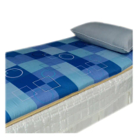 【雪妮絲】雙人輕鬆自在冬夏桂竹床墊+2竹碳枕超值組(加碼送室內拖 x 1 鐦)